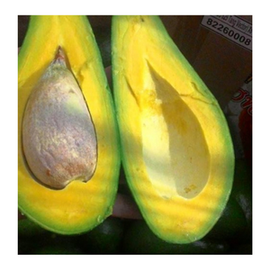 Aguacate congelado de Vietnam de primera calidad para postres batidos y pedidos al por mayor de procesamiento de alimentos - Product Image 2