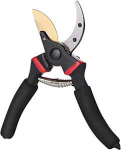 High Quality Stainless Steel <b>Pruning</b> Shears Manual Garden Scissors for Fruit & <b>Tree</b> Cutting Dental Surgical Instruments - Product Image 1