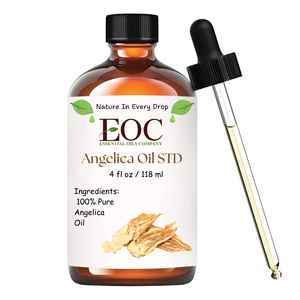 Aceite esencial de Angélica, aceite de raíz de olor dulce Natural puro para perfumería, aromaterapia y bienestar, proveedor mayorista - Product Image 2