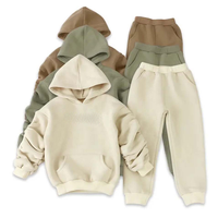 Conjunto Deportivo de Forro Polar para Niños, Sudadera con Capucha y Pantalones Jogger a Juego, con Logotipo Personalizado, para Niños y Niñas Pequeños, de Dos Piezas, Ropa Casual de Algodón Suave