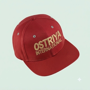 Casquettes snapback ajustables à visière plate avec logo brodé 3D personnalisé, service OEM, faible MOQ, pour un usage décontracté unisexe. - Product Image 4