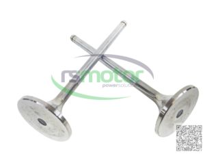 Válvula de entrada de piezas originales de Venta caliente MWM RS-12420827 adecuada para TBG 604 ; TBG 620 ; TCG 2020 ; CG 170 - Product Image 3