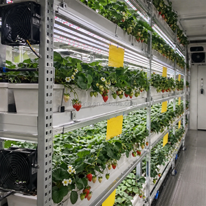 Système de culture verticale hydroponique pour fraises en conteneur, équipement d'agriculture intelligente pour la culture commerciale de fraises - Product Image 3