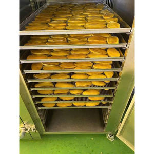 MANGUE SÉCHÉE DE QUALITÉ SUPÉRIEURE AUX FRUITS NATURELS VENTE EN GROS FOURNITURE À L'EXPORTATION HOT DEAL PRODUIT SAIN POUR LES COLLATIONS PRINCIPALES VENTES - Product Image 4