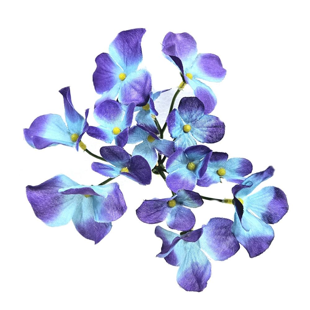 สีฟ้า/สีม่วง