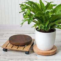 Nouveau chariot à plantes avec roues verrouillables, support à plantes roulant en bois, base à roulettes pour plantes, robuste, taille personnalisée disponible