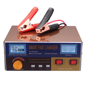 Cargador de Batería de Coche Inteligente con Pantalla LED, 12-24v, con Pinza de Terminal y Enchufe - Product Image 2