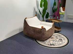 Modern <b>Pet</b> <b>Sofa</b> Bed with Ottoman Soft Comfort Home Use - Product Image 4