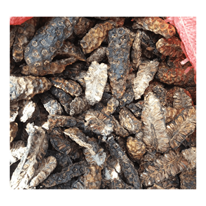 Best <b>Quality</b> Dried Noni Fruit 100% Natural Originated From Vietnam with Competitive Price and High <b>Quality</b> - Product Image 1