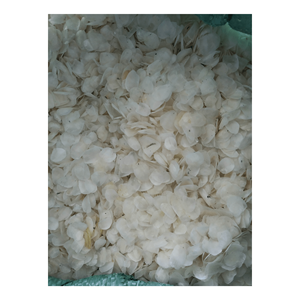 Écailles de poisson Offres Spéciales sèches pour l'exportation/prix de gros écailles de poisson naturelles blanchies/naturelles/écailles de poisson séchées du Vietnam - Product Image 4