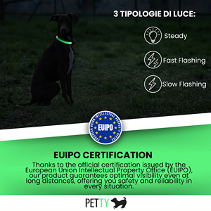 PettyItalia Dog Collar - Non-Adjustable USB Rechargeable Collar with Buckle Closure and Safety Button - Product Image 6