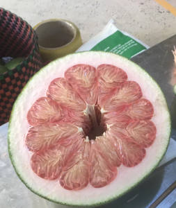 Pomelo Rosa Fresco de Vietnam, Grado A, 15 cm, Listo para Exportar al por Mayor en Caja de Cartón, 1.2-1.8 kg a EE. UU. y UE, Sra. Eira 0084786436556 - Product Image 3