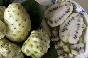 Nouvelle récolte de fruits de noni surgelés de haute qualité à bas prix - Product Image 3