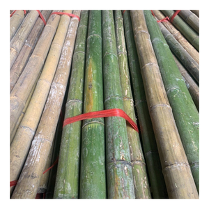 Tubos de Bambú de Fábrica, Suministro al por Mayor, Ideal para Decoración Interior y Exterior, Soporte Estructural y Diseño Personalizado - Product Image 1