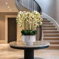 Orchid Phalaenopsis Buatan Sentuhan Realistis untuk Dekorasi Hotel dan Interior