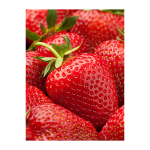 Fresa empapada en azúcar fruta fresca precio barato al por mayor para la venta - Product Image 1