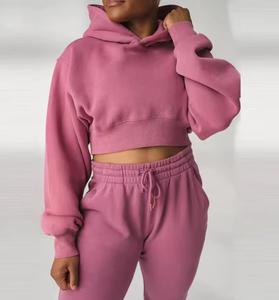 Nouveaux ensembles deux pièces pour femmes, couleur unie, hauts courts brodés en maille épaisse à capuche, survêtement personnalisé OEM ODM - Product Image 4