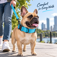 Collier pour chien rembourré robuste avec patch logo personnalisé, boucle à dégagement rapide en métal, réglable en nylon, vente en gros en vrac