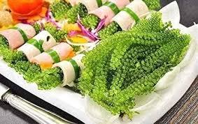 <b>Fresh</b> Sea <b>Grapes</b> - Product Image 4