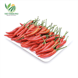 Viet Thien Phu-Chile rojo fresco Vibrante, picante y cultivado naturalmente en campos fértiles de Vietnam - Product Image 3