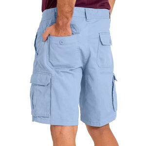 Venta caliente Ice Blue Cotton Cargo Shorts Regular-Fit Relaxed Designed Casual Summer Cargo Shorts para hombres - Product Image 2