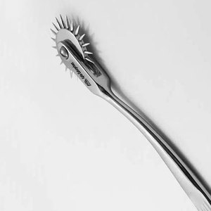 Dysfonction sensorielle Wartenberg Pinwheel Wartenberg Pinwheel Neurological Steel Pin Wheel Troubles neurologiques - Product Image 2