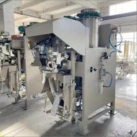 Machine d'emballage de sacs avec vis sans fin, remplisseuse de poudre pour sacs de 25 kg et 50 kg