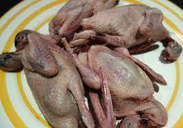 Carne de paloma - Product Image 2