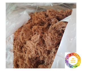 High-Quality <b>Dried</b> Seamoss from Vietnam Wildcrafted Eucheuma Cottonii Purple Yellow Best Price Export Vegan <b>Dried</b> Seamoss Bulk - Product Image 1
