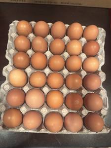 Huevos Marrones Orgánicos Pasteurizados de Grado Superior de Vital Farms, 12 Unidades, 30 Unidades por Bandeja en Venta - Product Image 6