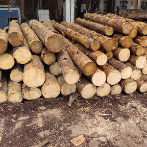 Bois de teck tout rond raboté pour une finition lisse prêt à l'emploi qualité d'exportation - Product Image 5
