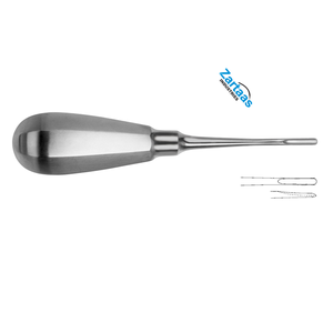 ที่มีคุณภาพสูงสแตนเลส Bein Root, มะเดื่อผู้ผลิตและส่งออกเครื่องมือทันตกรรมขนาด1, 3มม. - Product Image 2