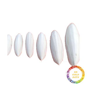 Séchage au soleil os de seiche | Origine vietnamienne | Supplément pour oiseaux et remède naturel contre les maux d'estomac - Product Image 4