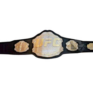 เข็มขัดแชมป์มวยปล้ำเข็มขัดถ้วยรางวัลและรางวัลสัญลักษณ์สูงสุดของชัยชนะและเข็มขัดแชมป์ยอดเยี่ยม - Product Image 2