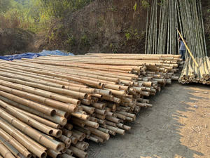 Tubes en bambou, produit très vendu, provenant de l'usine 99D au Vietnam, pour la décoration intérieure et extérieure et l'utilisation structurelle - Product Image 4