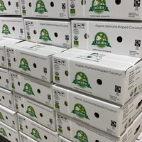 Biologische Jonge Kokosnoot Diamant Vorm Verpakking 9Kg Doos Verse Fruitschaal Hele Export Midden Oosten 84 976727907