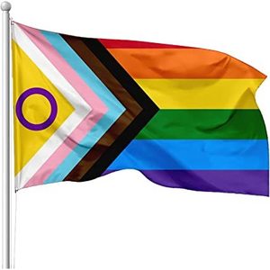 Lot de 2 drapeaux Pride 3x5 pieds, Nouveauté 2022, Drapeau LGBTQIA+ avec anneau violet, arc-en-ciel, intersexuel, inclusif, drapeau du progrès, résistant à la décoloration, USA TOP - Product Image 5