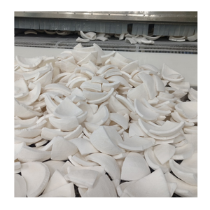 เนื้อมะพร้าวแช่แข็งหั่นมะพร้าวสดแช่แข็งจากเวียดนามสำหรับบริการด้านอาหารและตลาดส่งออก - Product Image 2