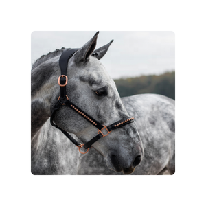 หนังคล้องคอ "Rosegold Classy"/หนังหุ้มเบาะเชือกแขวนคออุปกรณ์สีโรสโกลด์/เชือกแขวนคอหนังสีโรสโกลด์พับได้ - Product Image 5