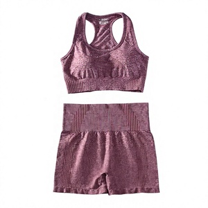 Best High Quality Women's Racerback Sports Bra And High Waist Shorts Set Solid Ribbed <b>Mesh</b> Breathable Yoga Fitness Wear - Product Image 1