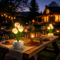 Lámpara de Noche Creativa con Base de Cerámica, Luz Cálida Rosa y Amarilla, Estilo Nórdico, Alimentación USB, Iluminación Suave, Diseño de Tulipán, para Dormitorio y Estudio