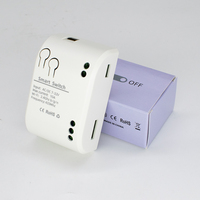 E0702 Módulo de Relé Inteligente WiFi Tuya de 1 Canal - 12V/24V con Temporizador, Función de Pulso/Enclavamiento, Compatible con Alexa y Google Home