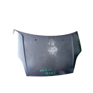 Cofano Anteriore FORD Fiesta 4a Serie 1531070 DQ14F6JA (02>05) - Product Image 1