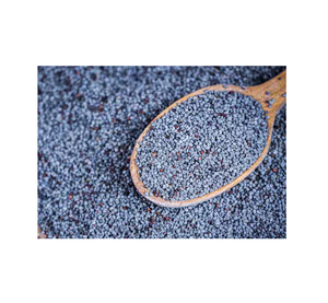 Affordable <b>Blue</b> <b>Poppy</b> <b>Seeds</b> Best Quality Available for Sale Great Value for Bulk Orders Perfect for Home Cooks - Product Image 2