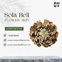 Fleurs Sola Beli Écologiques Éternelles de Haute Qualité Faites à la Main, Décoration Désodorisante Romantique pour Remise de Diplôme et Fête des Pères