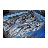 Vente en gros de merlan bleu congelé, approvisionnement en vrac de poisson naturel à bas prix
