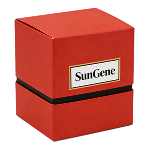 Caja Cosmética Rígida de Papel Iridiscente Reciclado al por Mayor de Fábrica, Cierre Magnético, Laminación Mate, Forro de Esponja, Personalizable - Product Image 1