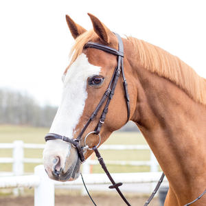 Estribos de Equitación Ingleses de Cuero de Alta Calidad con Logotipo Personalizado, Cómodos para Doma y Carreras, Estribos Occidentales Negros y Marrones para Caballos - Product Image 3