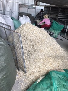 เกล็ดปลาดิบฟอกขาว ลอกหนัง ตากแห้ง / เกล็ดปลาทิลาเปียตากแห้ง ขนาดใหญ่ บรรจุ 20 กิโลกรัม ผู้จัดจำหน่าย คุณชิน - Product Image 4