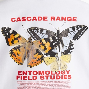 T Shirt <b>Tshirts</b> <b>High</b> Quality 100% Cotton O-<b>neck</b> Men's Oem Logo Plain Blank - Product Image 4